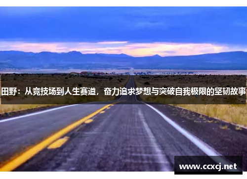 田野：从竞技场到人生赛道，奋力追求梦想与突破自我极限的坚韧故事